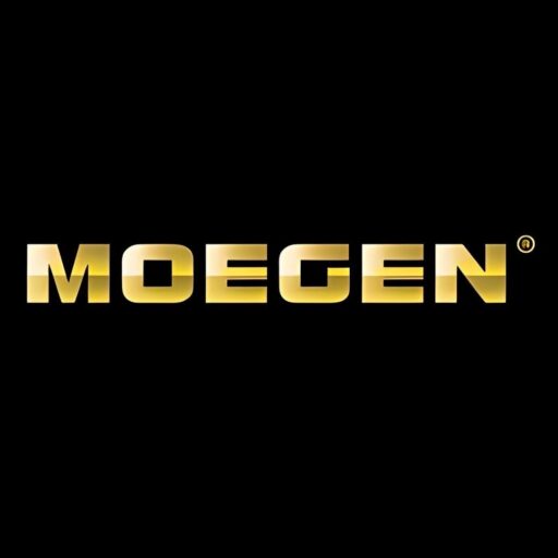 cropped-logo-moegen.jpeg